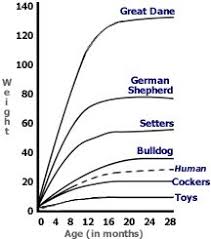8 Best Puppy Growth Chart Images Puppy Growth Chart Cute