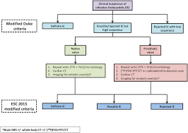 The Role Of Nuclear Cardiac Imaging In Infective