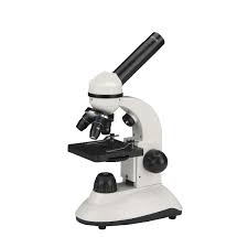 Image result for microscope