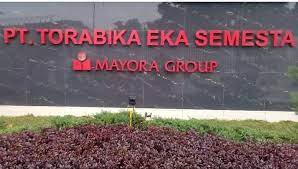 Perusahaan yang berkantor pusat di jalan daan mogot km. Lowongan Kerja Operator Produksi Pt Torabika Eka Semesta Indonesia Plant Cikupa Tangerang Serangkab Info