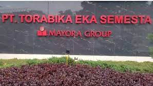 Maybe you would like to learn more about one of these? Lowongan Kerja Operator Produksi Pt Torabika Eka Semesta Indonesia Plant Cikupa Tangerang Serangkab Info