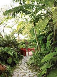 Red Fence Jpg Tropical Backyard Landscaping Tropical Landscaping Tropical Garden Design