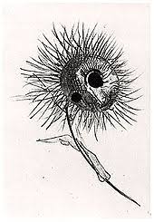 When flowers of evil was first published in 1857, the book almost immediately became the subject of an obscenity trial, and for several generations afterward its themes of eroticism, lesbianism, revolt and decay earned the author a reputation for depravity and morbidity. The Flowers Of Evil Manga Wikipedia