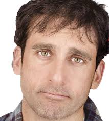 Dan in Real Life's Bad Poster and Steve Carell's Depressing Filmography