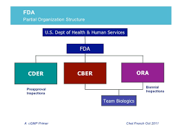 Fda Cder Organizational Chart 2018 Related Keywords