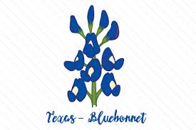 Download State Flower Texas Bluebonnet Svg Cut Files Download Free Svg Files For Cricut Maker PSD Mockup Templates