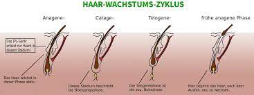 Wir haben für sich die wichtigsten und besten produkte in dieser kategorie aufgelistet und in eine entsprechende reihenfolge gebracht. á…á… Ipl Gerat Beratung Dauerhafte Haarentfernung
