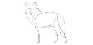 Wolf pictures to draw step by step. How To Draw A Wolf Step By Step