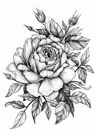 Disegni Di Fiori A Matita Sfumature Sulle Foglie Idee Per Tatuaggi Tatuaggio Di Fiore Disegno Fiori
