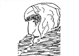 images?q=tbn:ANd9GcRIa72necPo3ACUvTaiOFo