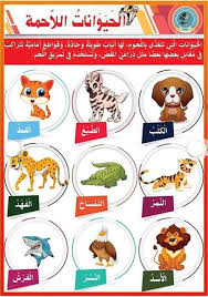 التغذية عند الحيوانات الحيوانات العاشبة الحيوانات اللاحمة الحيوانات الكالشة بحوث مدرسية arabic kids learning arabic arabic language