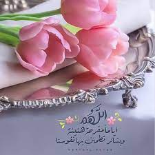 488 likes 5 comments ذكر الله thker allah10 on instagram ممنوع الإعلان في التعليقات الصور للجميع bird pictures islamic pictures art lessons