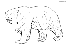 Older children can write the color and animal at the bottom of their coloring pages (ex: Bears Coloring Pages Free Printable Bear Coloring Sheets