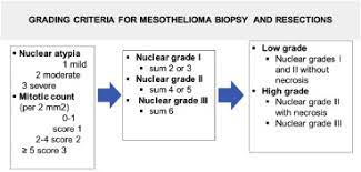 We did not find results for: Es17 04 Updates In Mesothelioma Journal Of Thoracic Oncology
