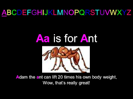 Abcdefghijklmnopqrstuvwxyz aa is for ant adam the ant can lift 20 times his own body weight presentation on theme: Abcdefghijklmnopqrstuvwxyz Ppt Video Online Download
