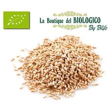 Zuppa di orzo e fagioli, un primo piatto vegetariano e nutriente: Orzo Perlato Biologico Acquista Online E Ricevi A Casa Tua
