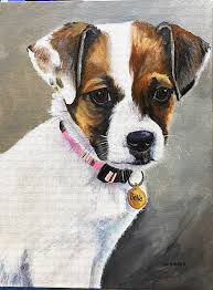 Veterinarian emergency services veterinarian emergency services. Dream Of Bella Spca Nonprofit Veterinary Hospital Becomes A Reality The City Sentinel