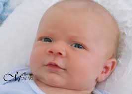 What Others Have to Say