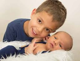 27. Jahrgang Heft 96 Sommer