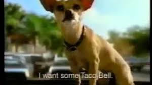 Viva la taco bellviva la taco bell. Taco Bell S Gidget The Chihuahua Commercial 1998 Youtube