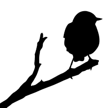 Easy Bird On Branch Silhouette Sparrow Silhouette Tattoo Design Bird Silhouette Silhouette Bird On Branch