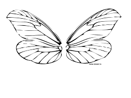 See more ideas about johanna basford coloring, dragonfly, enchanted forest coloring. Color Dragonfly Wings Drawing Novocom Top