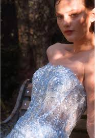 Gown Color Blue Fitted