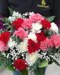 Check spelling or type a new query. Love S Colours Carnation Cut Flower Bouquet Van Belle Flowers