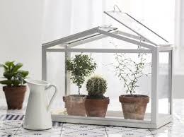 Terrariums Decouvrez Ces Mini Serres Ultra Deco Elle Decoration Serre Interieure Mini Serre Interieur Decoration Plantes Interieur