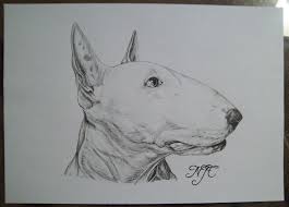 We did not find results for: English Bull Terrier Pen Sketch Landn83