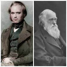 35 Charles Darwin Quotes And Sayings About Life Survival And Change Inspirationfeed