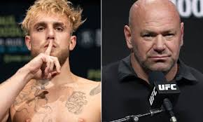 Jake Paul wants to fight Conor Mcgregor at 175 pounds