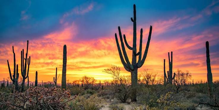 Moving to Arizona | Living in Arizona