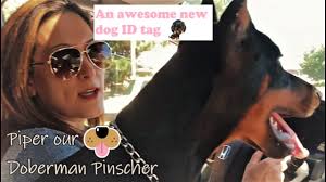 Find personalized dog id tags at petsmart. Doberman Gets New Dog Id Tag Petsmart Tagworks Youtube