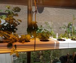 Epic gardening homemade hydroponics (spanish) have a blog? Diy Nutrient Film Technique Nft Hydroponic System 5 Steps With Pictures Instructables