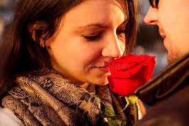 34,195 Love Couple Red Rose Stock Photos