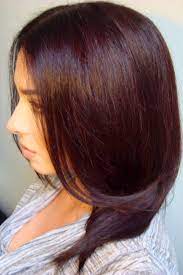 Home Hair Dye Red Brown Hair Color Going Dark Hair Sallys Box Purple Diy Jpg 1064 1600 Mahogany Brown Hair Hair Color Mahogany Hair Color Chart