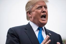 The 25th Amendment: Could It Be Used to Impeach Donald Trump?