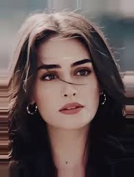 Halima Sultan Beauty Girl Muslim Beauty Beautiful Girl Face