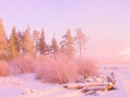 Pink And Gold Wallpaper Desktop Backgrounds Winter Wallpaper Pink And Gold Wallpaper Vintage Landscape