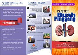 Ada beberapa cara yang bisa anda lakukan untuk cek status bpjs kesehatan. Risalah