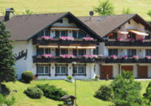 Mehr obst an den bäumen, den eigenen honig im glas und lebendiges brummen im garten. 46 Pensionen In Baiersbronn Traumunterkunfte Ab 13 51