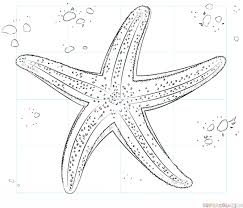 How To Draw A Starfish Step By Step Drawing Tutorials For Kids And Beginners Starfish Drawing Star Coloring Pages Drawing Tutorial