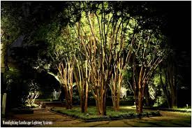 75 Brilliant Backyard Landscape Lighting Ideas 2020