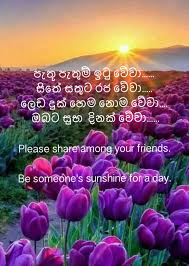 Birthday wish කිරීම සදහා නව english sentences 30ක් ඉගෙන ගන්න | english speaking course in sinhala. Sinhala Wishes And Sms à·ƒ à·„à¶½ à·ƒ à¶·à¶´ à¶­ à¶¸ à¶'à¶šà¶­ à·€