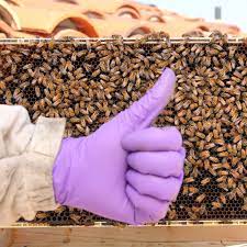 Me and my homies are going to use our stimmys on guillotines and oreos. What S The Deal With Nitrile Beekeeping Gloves Beekeeping Like A Girl