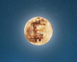 The minimum contribution is 0.05 btc btc and the maximum contribution is 20 btc. Doge Vs Btc A New Space Race Has Begun