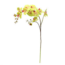 We did not find results for: Artificial Phalaenopsis Orchid Flowers Artificial Flowers Fake Flowers Yatai