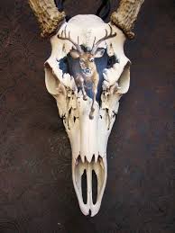 Pin By Andrea Langley On Diy Home Decor Deer Skull Art Painted Deer Skulls Painted Animal Skulls