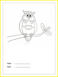 Pelajari cara menggunakan grid melingkar untuk menyusun karakter burung hantu sederhana. 99 Sketsa Burung Hantu Terbaik Paling Unik Paling Populer Sindunesia